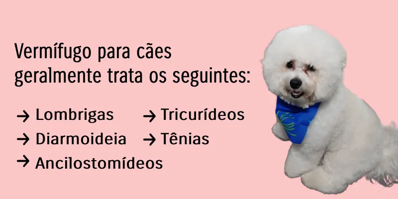 Tratamento de desparasitação para cães
