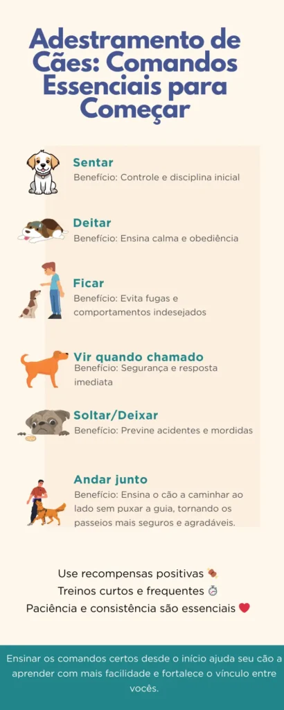 Ensinar os comandos certos desde o início ajuda seu cão a aprender com mais facilidade e fortalece o vínculo entre vocês.
