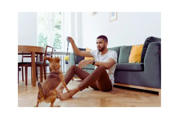 Brinquedos para cachorro