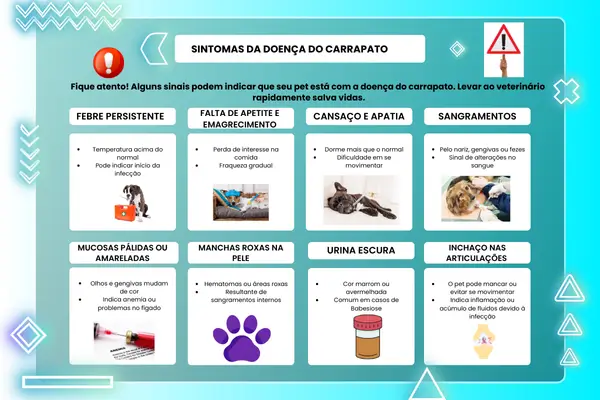 Doença do carrapato - sintomas