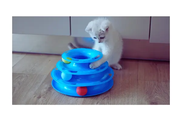 Brinquedos para gato