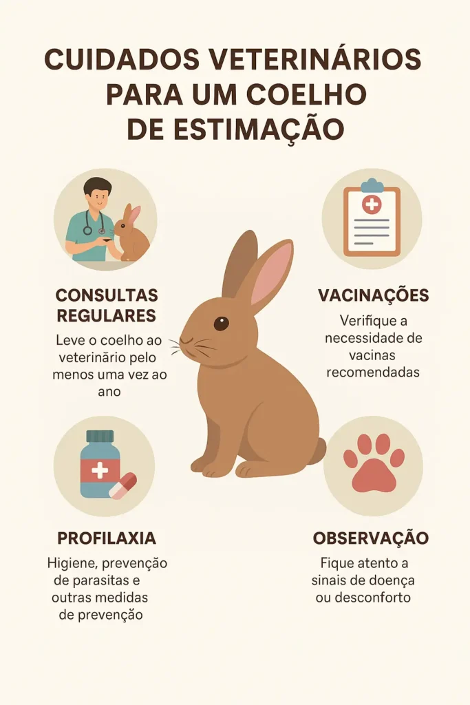 Cuidados veterinários com um coelho