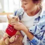 Gato doméstico brincando com tutor - dicas de como cuidar do seu pet