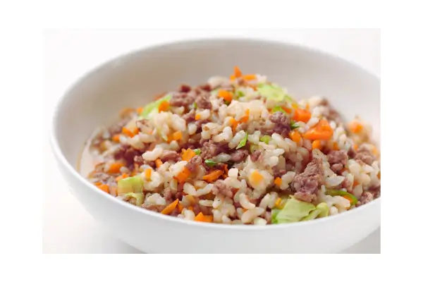 alimentação natural para cães