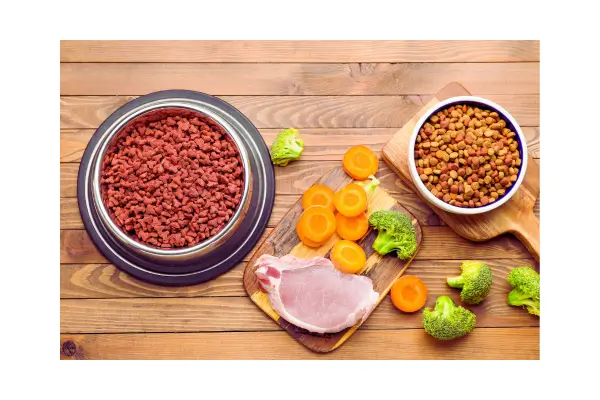 Alimentação natural para cães x ração