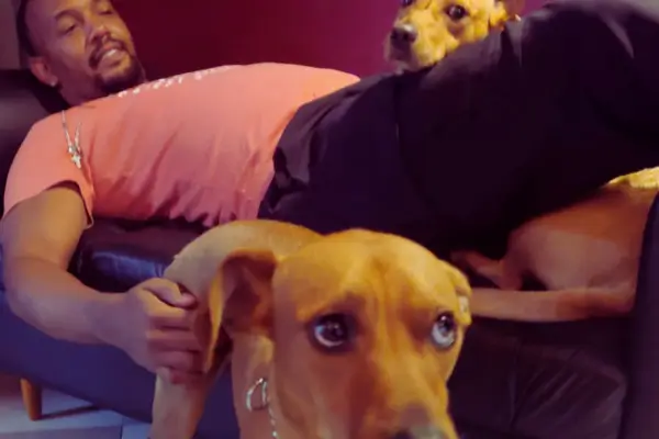 Madruga e Pandora a alegria dos seus novos donos e dos alunos da escola de dança