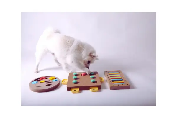 cachorro brincando com tabuleiro interativo