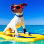 Cachorro saudável brincando na água ao ar livre no verão, ilustrando prevenção de dermatites em cães e cuidados com a pele