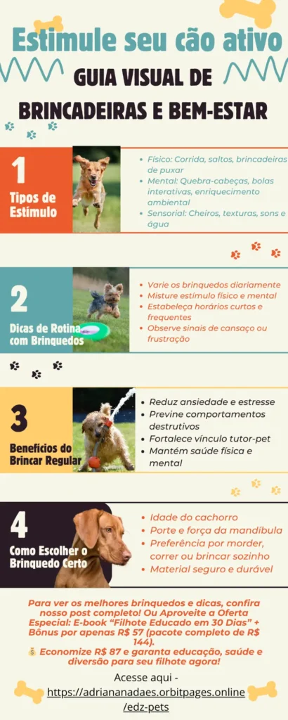 Estimule seu Cachorro Ativo: Guia Visual de Brincadeiras e Bem-Estar
