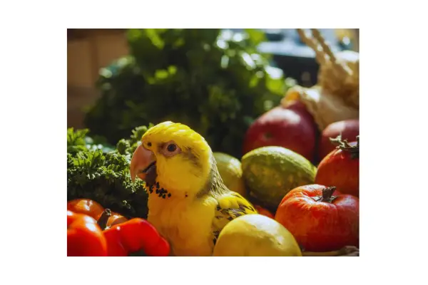 Frutas e legumes seguros para aves domésticas, apresentados de forma colorida e fresca.