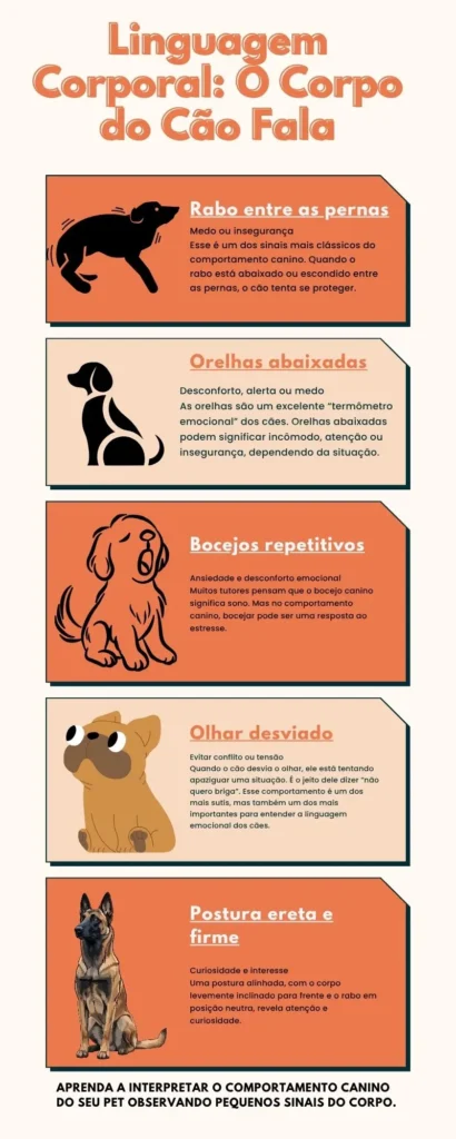 Linguagem Corporal O Corpo do Cão Fala