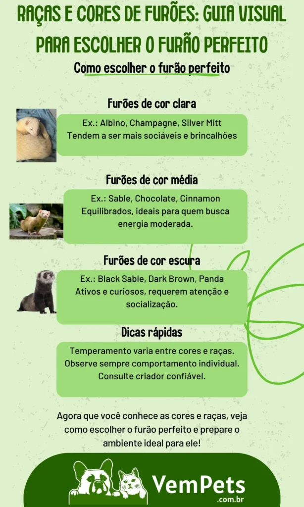 Raças e Cores de Furões Guia Visual para Escolher o Furão Perfeito