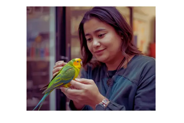 Tutor interagindo com ave doméstica, demonstrando vínculo e cuidado diário.