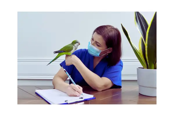 pássaro sendo atendido por veterinário