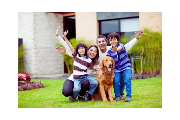 comportamento animal equilibrado e convivência harmoniosa