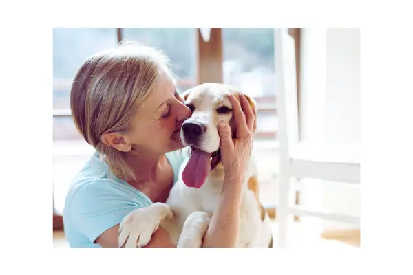 grooming passo a passo fortalece o vínculo entre tutor e pet