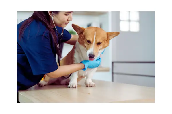 quando o clima vira problema de saúde