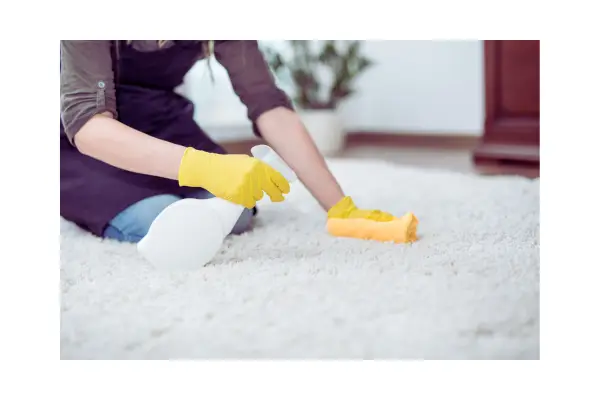 tutor iniciante com dificuldades para ensinar filhote a fazer xixi