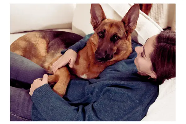 Tutor oferecendo carinho e cuidado ao cachorro