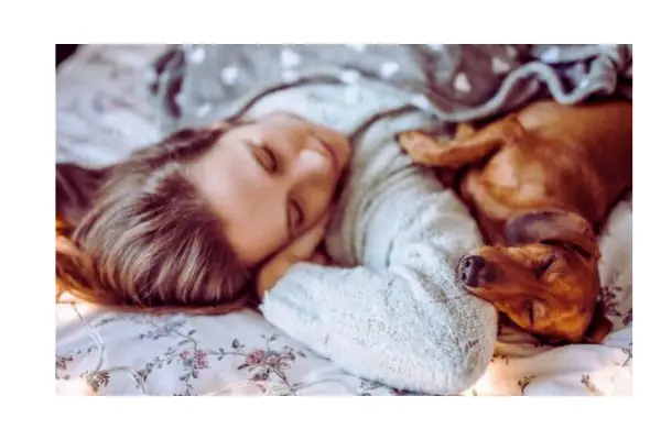 Você dorme com seu pet na cama?