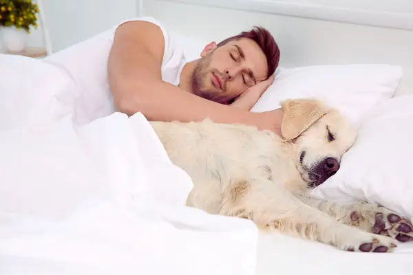 Você dorme com o pet na cama?