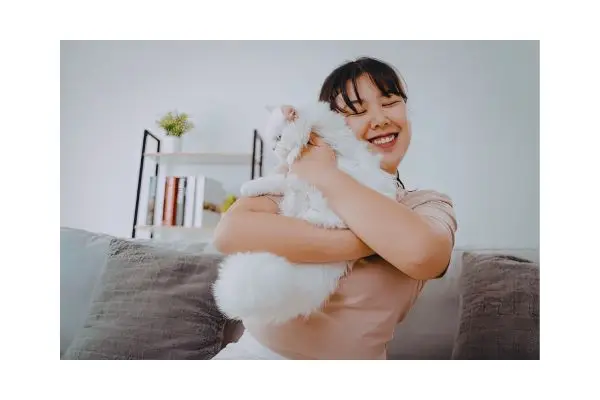 Tutor e gato fortalecendo vínculo após treino com reforço positivo