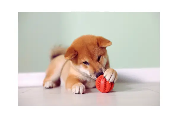 O que começamos a fazer diferente