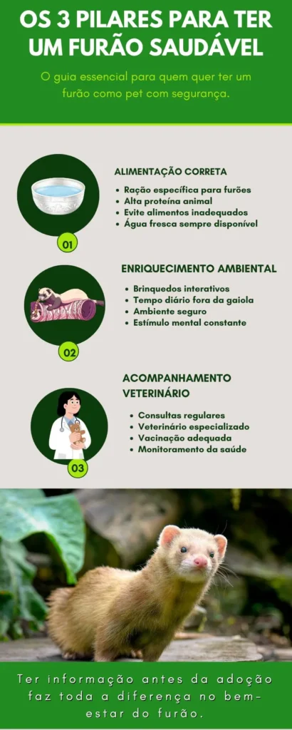 Os 3 Pilares Para Ter um Furão Saudável