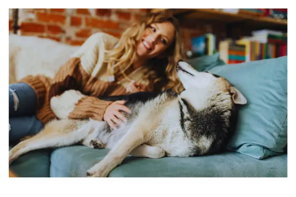 tutor observando o cachorro com atenção e empatia