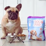 O que cachorro pode comer? Lista segura e proibida o que cachorro pode comer alimentação saudável