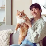 Quanto Custa Ter um Gato? Valor Real por Mês quanto custa ter um gato cuidados básicos