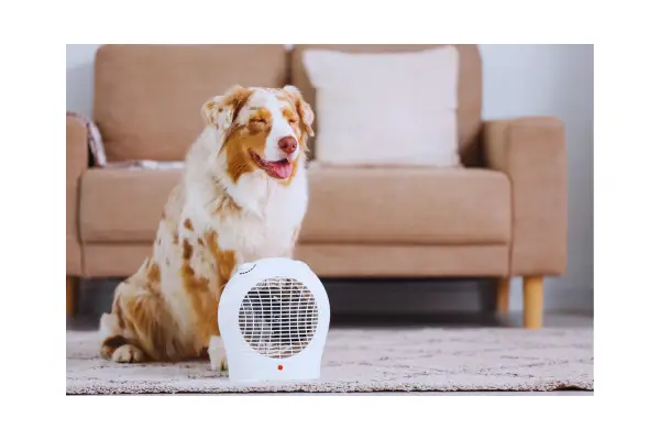 cachorro ofegante por causa do calor