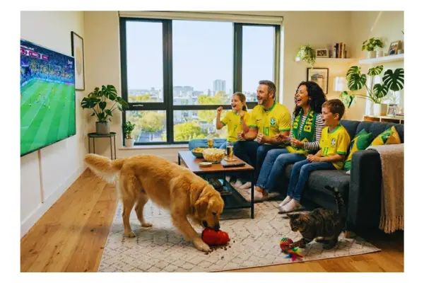 Alternativas seguras aos petiscos perigosos para cães e gatos
