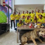 Copa do Mundo: Como Proteger Seu Pet do Barulho Pet com medo de fogos durante a Copa do Mundo