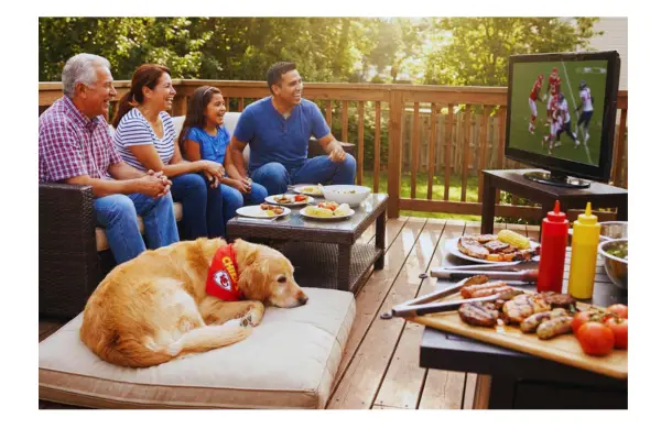 Cachorro próximo a uma mesa de churrasco durante uma confraternização