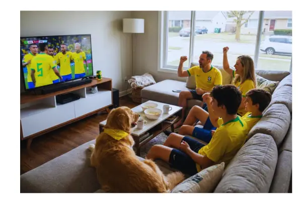 Cada pet reage de uma forma diferente aos dias de jogo e à movimentação da casa.