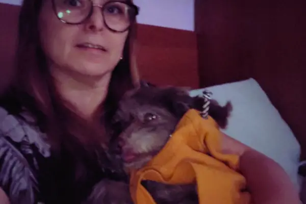 Choco Shih Tzu lembrado com carinho por toda a família - despedida de um cachorro