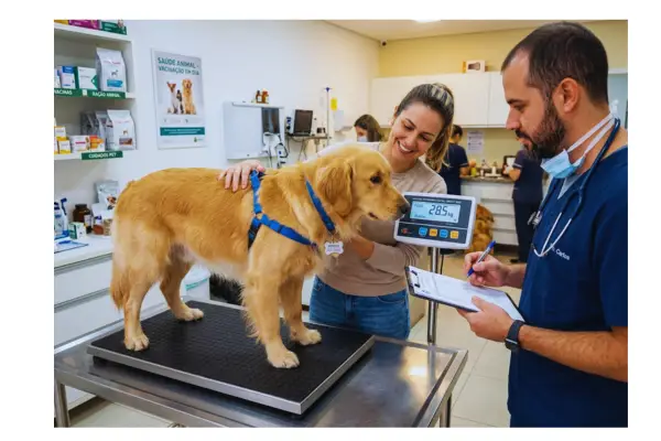 Pesagem de cachorro para calcular a dose certa do antipulgas