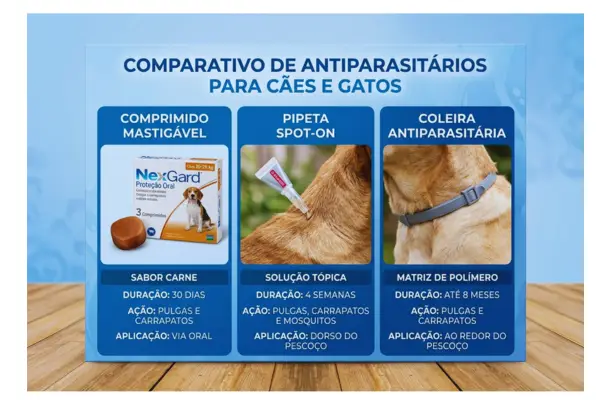 Tipos de antipulgas para cachorro: comprimido, pipeta e coleira