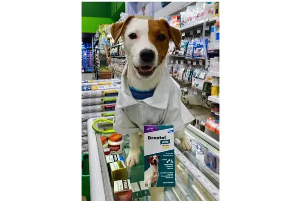 Yago pet influencer em campanha publicitária
