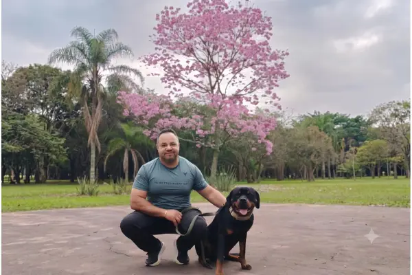 Como socializar um cachorro medroso