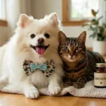 Suplemento para Cachorro e Gato: Vale a Pena de Verdade? O Guia Honesto do Veterinário Suplemento para cachorro: cão e gato saudáveis ao lado de potes de suplemento