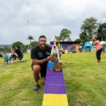 Seu Gato Sabe o Próprio Nome — e Ignora Você de Propósito, Diz a Ciência Adestrador Buno e seu cachorro campeão